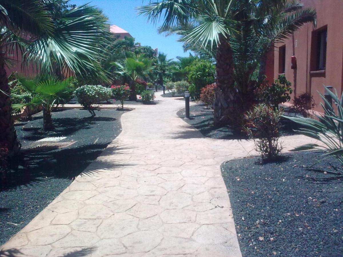 Tamarindo I Piscinas De Agua Salada Apartment Corralejo Ngoại thất bức ảnh
