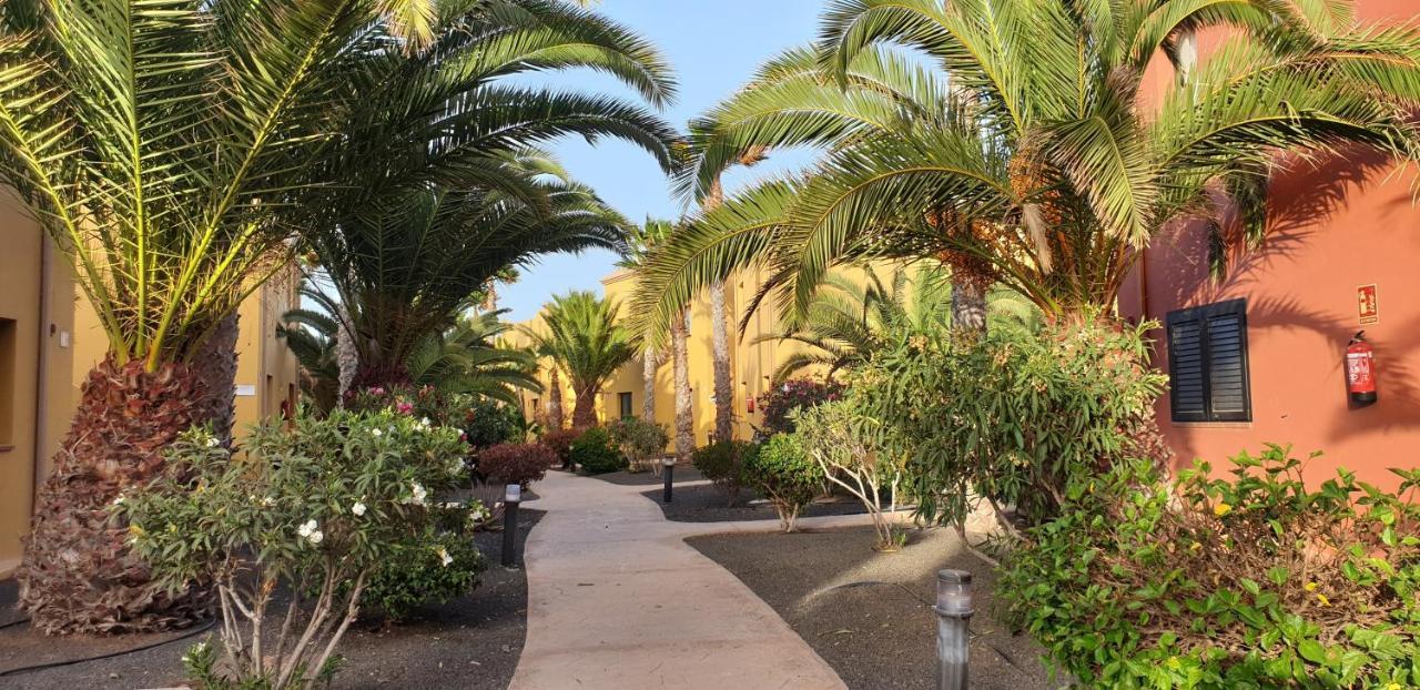 Tamarindo I Piscinas De Agua Salada Apartment Corralejo Ngoại thất bức ảnh