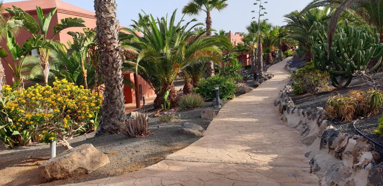 Tamarindo I Piscinas De Agua Salada Apartment Corralejo Ngoại thất bức ảnh
