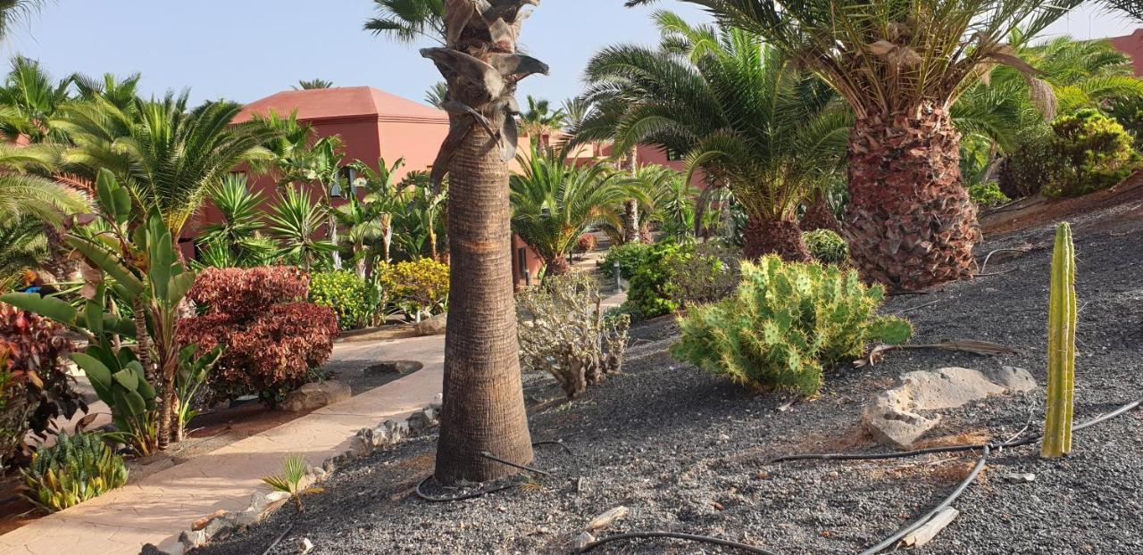Tamarindo I Piscinas De Agua Salada Apartment Corralejo Ngoại thất bức ảnh